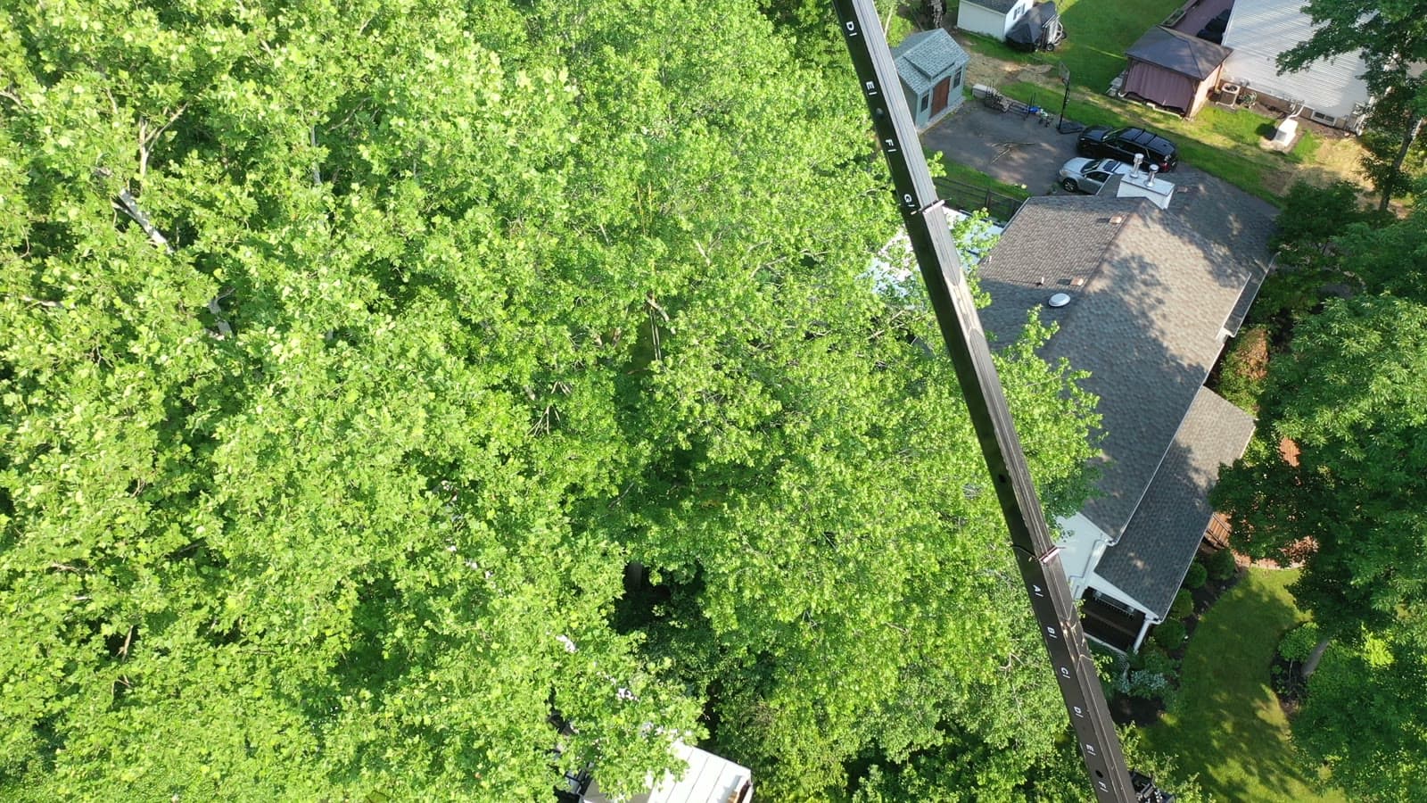 Drone view of crane work in a dense green canopy