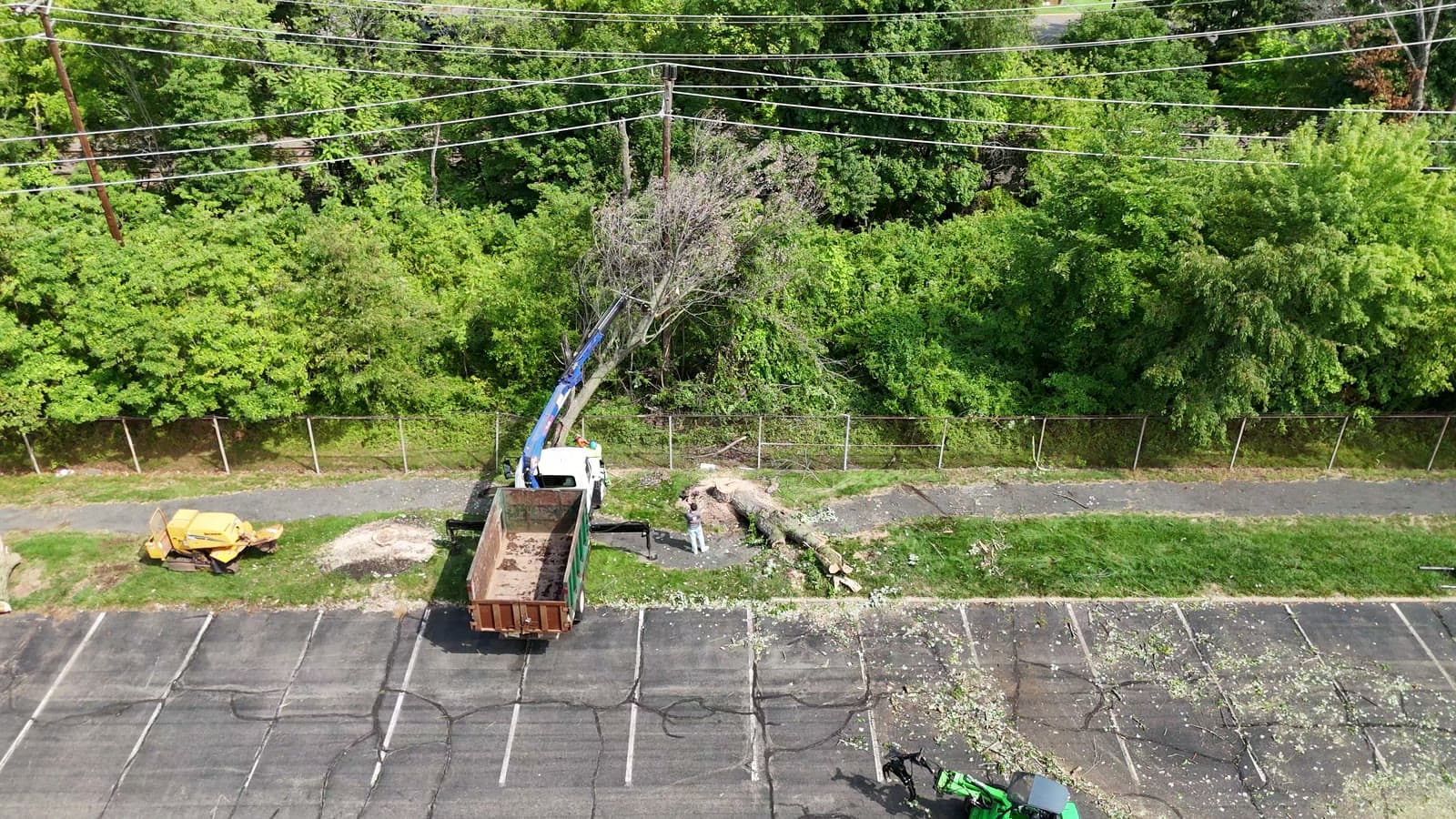 Industrial park tree clearing with loader and chipper
