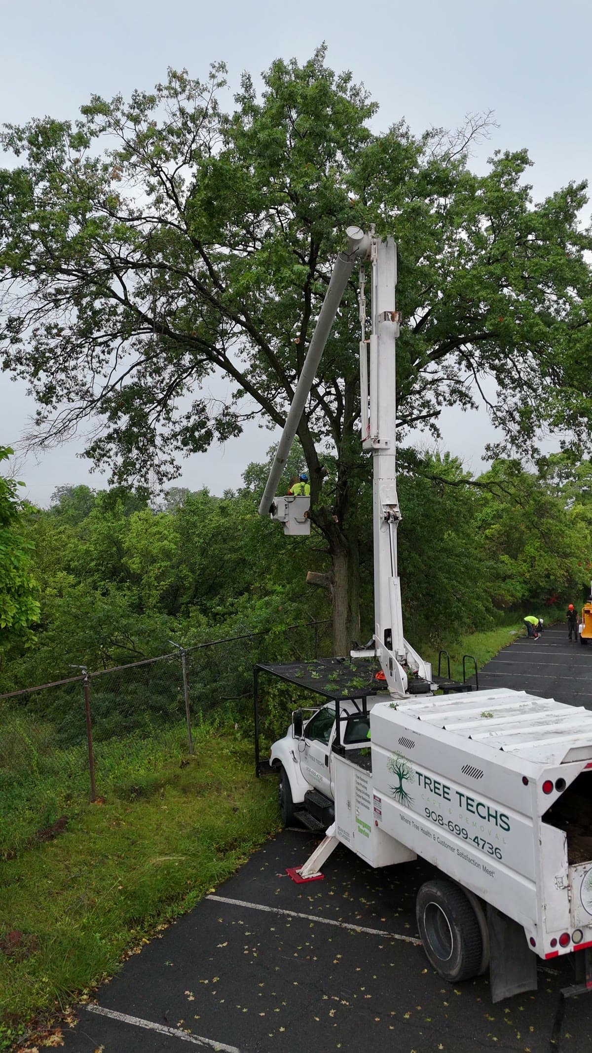 Branded Tree Techs bucket truck on an active job