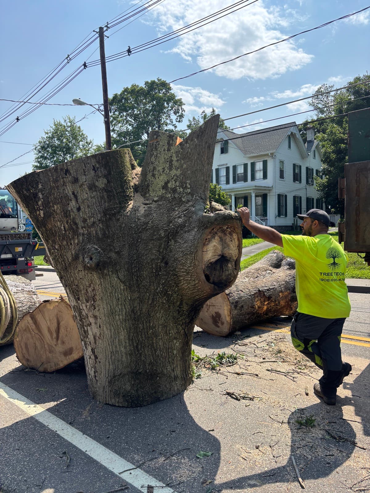 On-the-ground photo from a Tree Techs job site